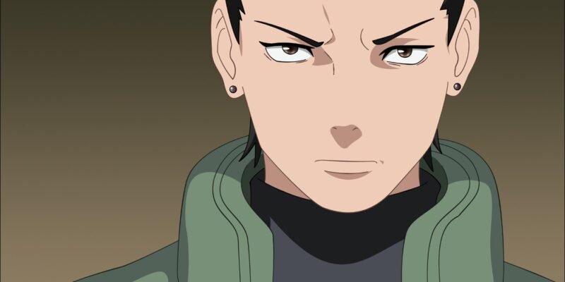 20+ Nara Shikamaru Quotes that show being Lazy is Awesome